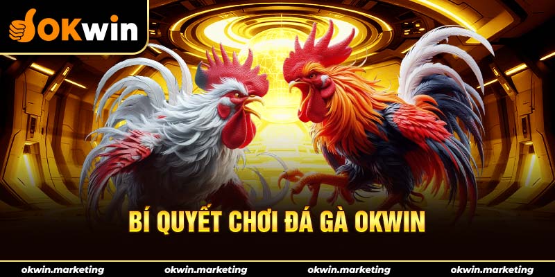 Mẹo Chơi đá gà Okwin