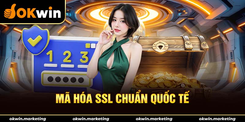 Mọi dữ liệu tại Okwin luôn được mã hoá SSL