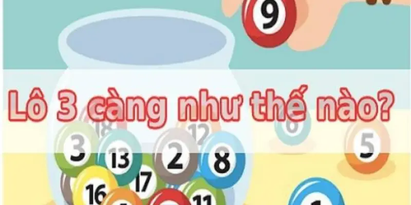 Giới thiệu về lô 3 càng